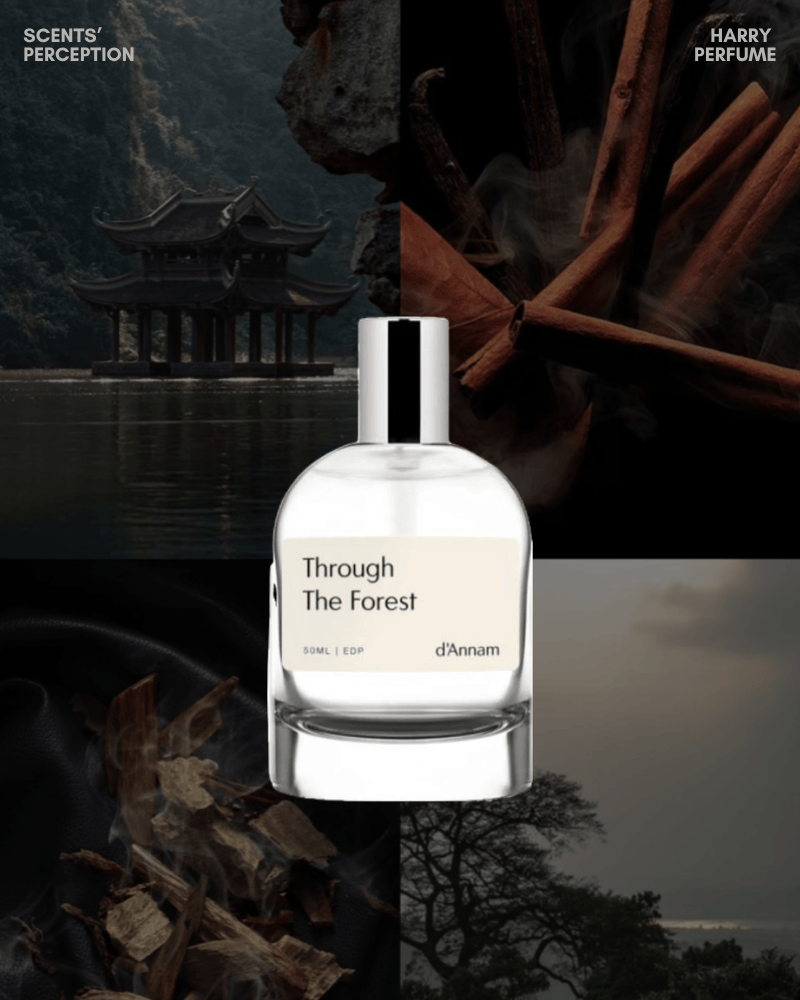 d'Annam Through The Forest mở ra cay khô, trầm khói và gỗ ấm, gợi khu rừng huyền bí, lưu luyến