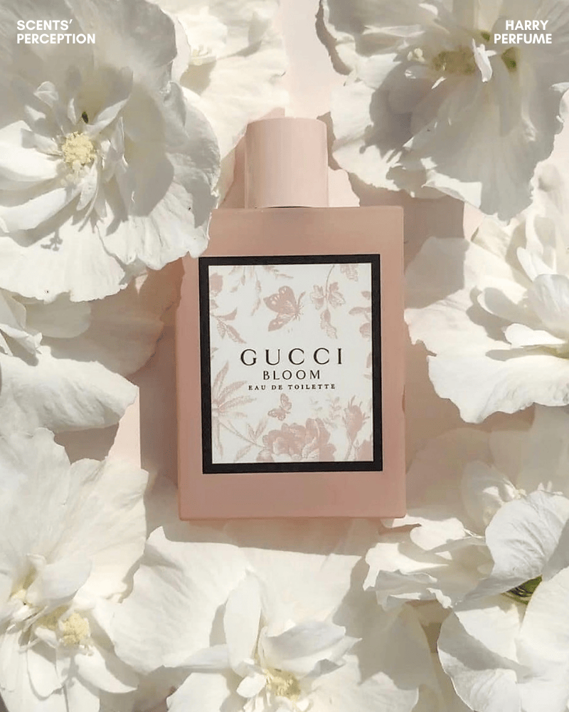 Gucci Bloom EDP là hương hoa trắng thuần khiết với nhài Sambac, huệ và sử quân tử