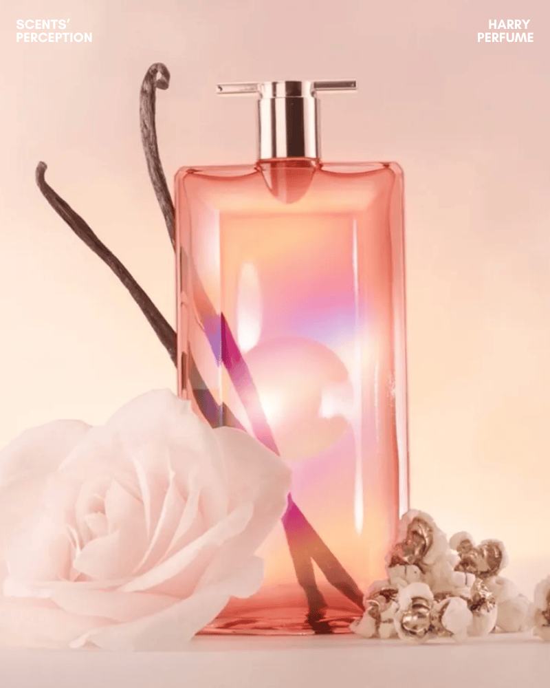 Idôle mang hình ảnh hoa hồng hiện đại, tươi sáng từ bergamot và lê, rồi chuyển sang hoa hồng Isparta thanh mảnh, sạch sẽ