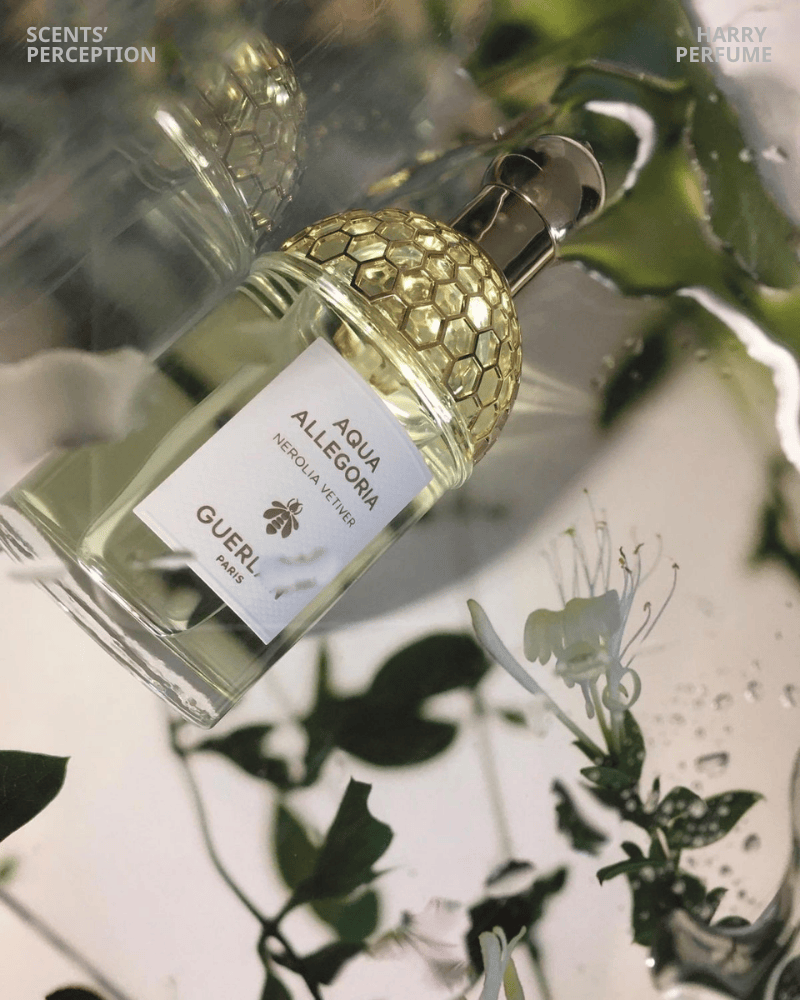 Lấy cảm hứng vườn cam nắng, neroli sáng sạch hòa vetiver xanh ấm, tạo hương tự nhiên tinh tế, thư thái