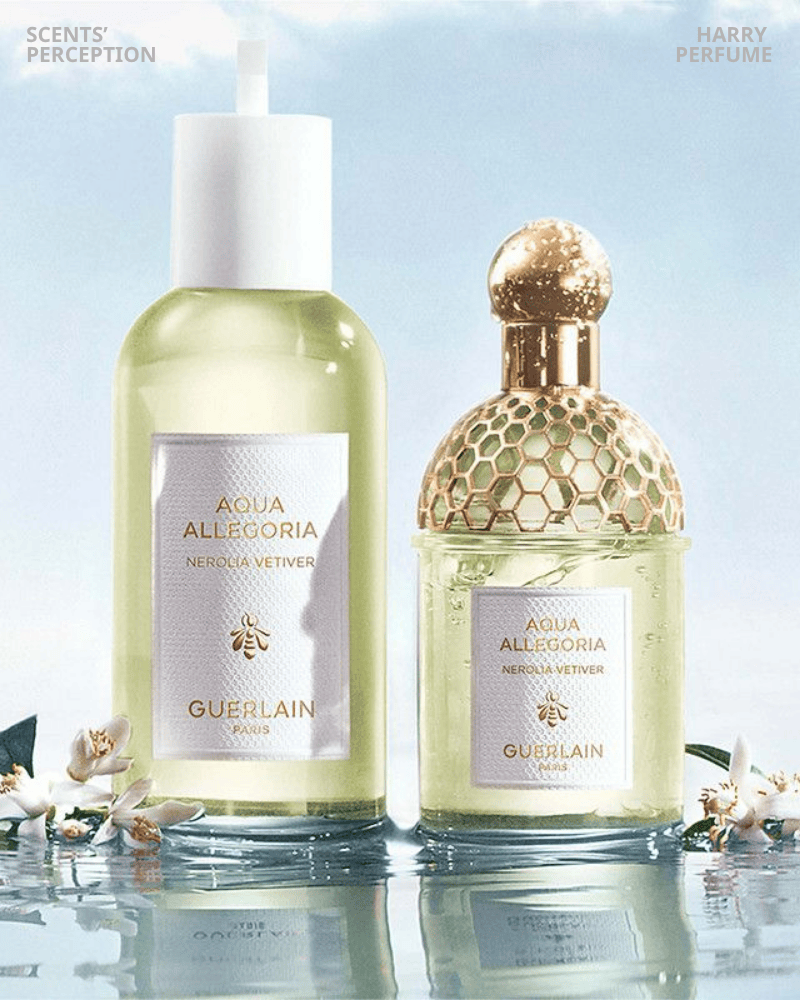 Lưu hương 4–6 giờ, tỏa gần tinh tế, phù hợp môi trường kín, mang cảm giác dễ chịu, sạch sẽ, thanh lịch hàng ngày