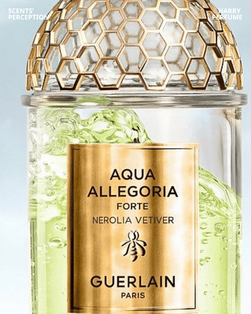 Nerolia Vetiver Forte EDP cải thiện hiệu năng, lưu hương 4–6 giờ, tỏa gần, tinh tế, phù hợp môi trường công sở hàng ngày