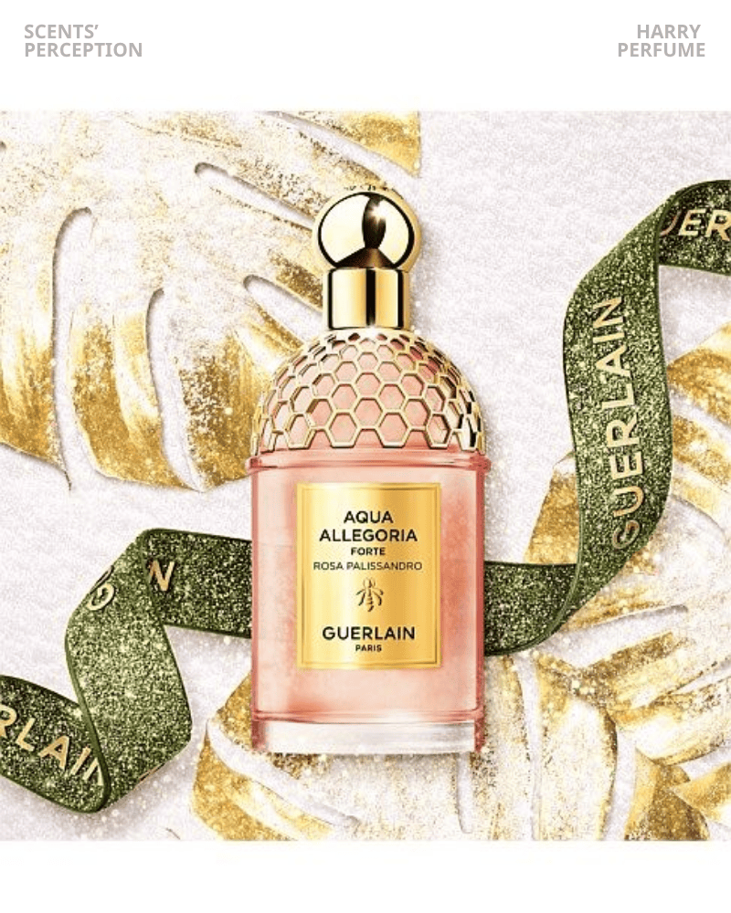 Rosa Palissandro Forte EDP mang cảm giác sạch, tinh tế, hoa hồng – gỗ cân bằng, nhẹ nhàng nhưng đủ tạo dấu ấn chuyên nghiệp.