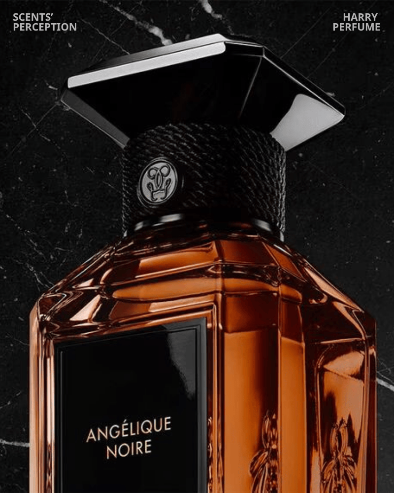 Angélique Noire được săn đón nhờ mùi hương độc đáo, tinh tế, dễ trở thành signature scent và thuộc dòng niche cao cấp