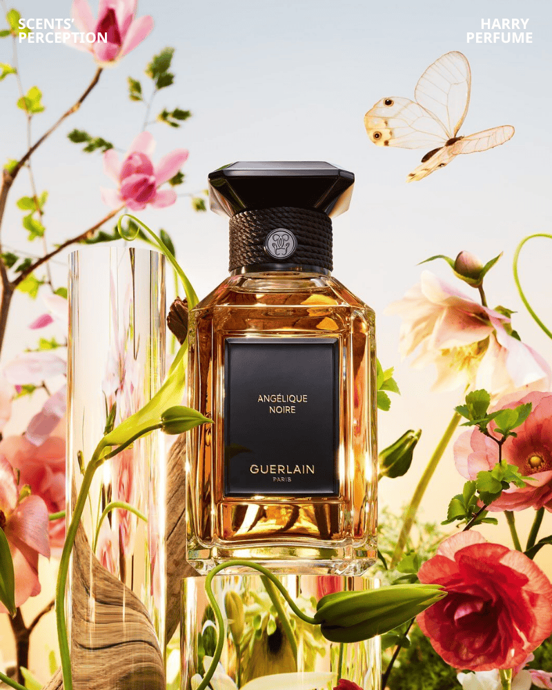 Angélique Noire gây ấn tượng với thiết kế tối giản, sang trọng chuẩn haute parfumerie