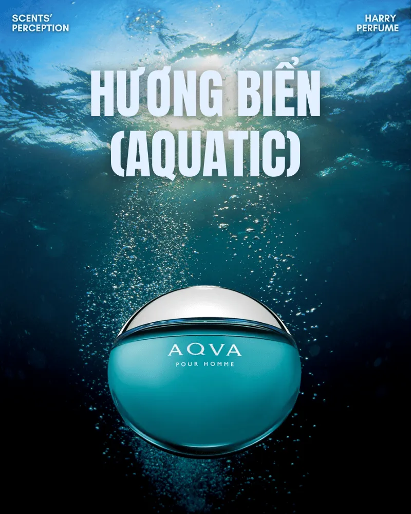 Hương Aquatic lấy cảm hứng từ vẻ đẹp bao la của đại dương