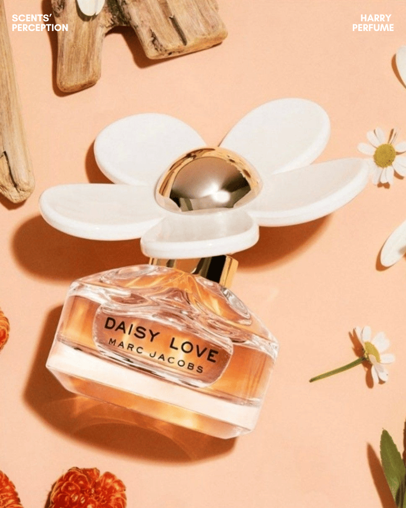 Daisy Love mở đầu với hương cloudberry ngọt nhẹ, mọng nước, trong trẻo, trẻ trung và không quá nồng gắt.