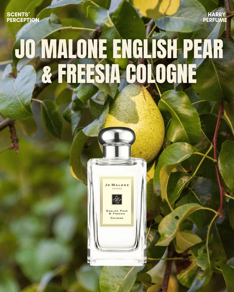 Jo Malone English Pear & Freesia Cologne tái hiện trọn vẹn nét thu nước Anh bằng sự hòa quyện tinh khôi của lê chín và freesia trắng, mềm mại như ánh nắng cuối mùa