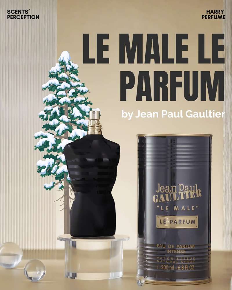 Le Male Le Parfum là đứa con kiêu hãnh sinh ra từ cuộc giao hòa giữa Le Male và Ultra Male