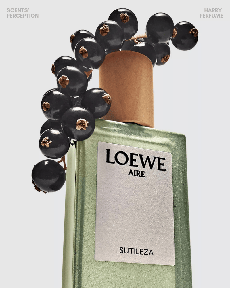 Loewe Aire Sutileza EDP mở ra tươi mát trong trẻo, chuyển sang hoa trắng dịu dàng và khép lại bằng lớp hương gỗ – xạ hương