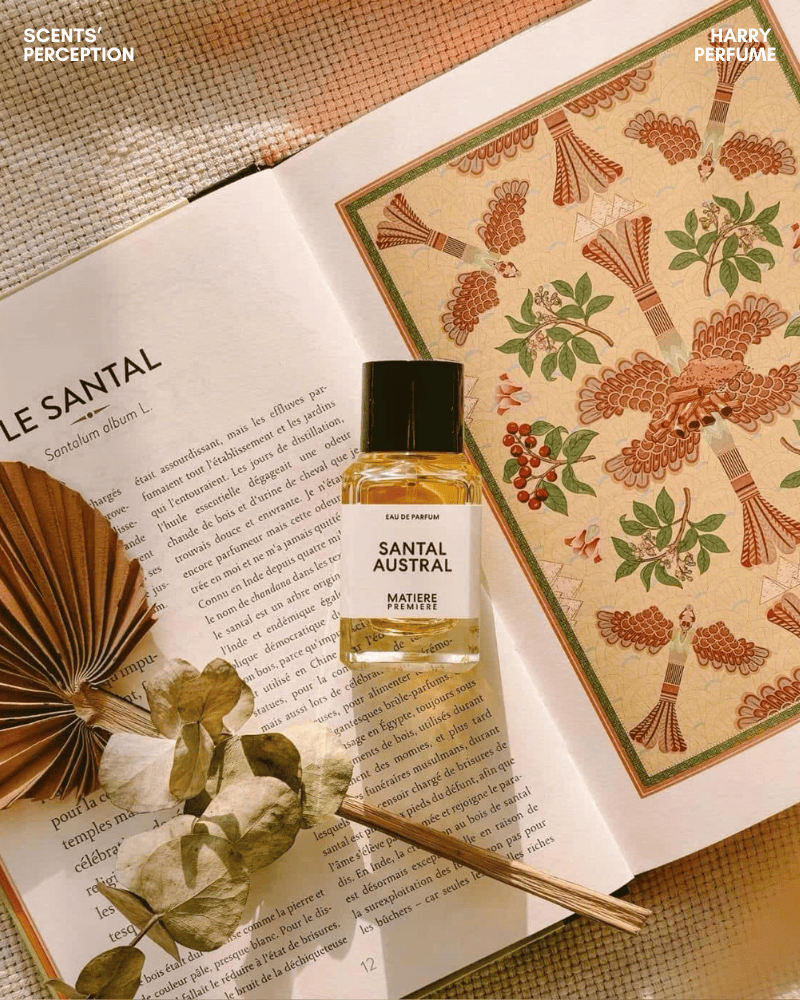 Santal Austral là mùi gỗ đàn hương trắng sạch, êm mịn, an thần, unisex, phù hợp việc và tĩnh tâm