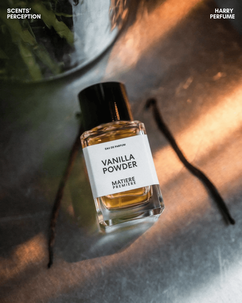 Thiết kế chai tối giản, thủy tinh trong suốt, nhãn trắng, nắp gỗ mun tạo nét sang kín đáo riêng