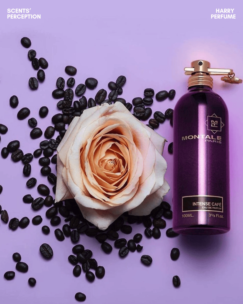 Montale ra đời tại Paris năm 2003, mang tinh thần Đông phương với mùi hương đậm dày, bền bỉ