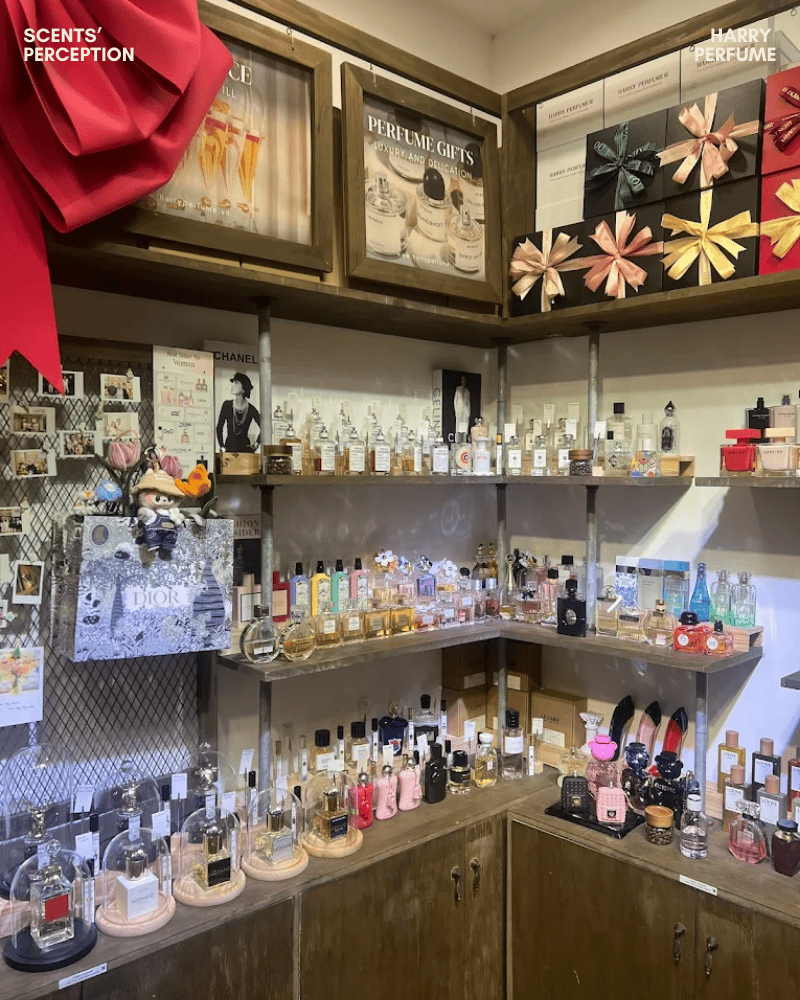 Harry Perfume được tin chọn nhờ cam kết chính hãng, đa dạng mùi hương