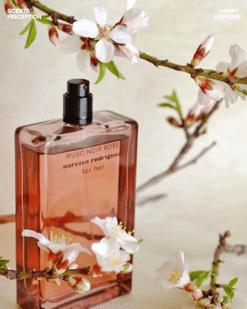 Musc Noir Rose phù hợp phụ nữ 23–35 yêu phong cách tinh tế, nhẹ nhàng, linh hoạt, nữ tính hiện đại và không phô trương