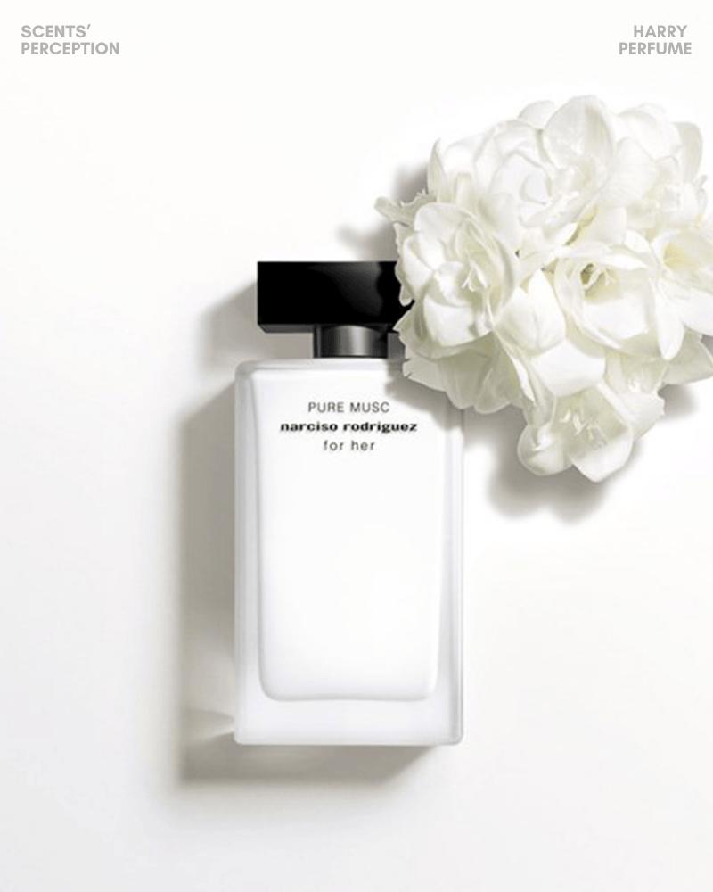 Pure Musc mở đầu bằng xạ hương trắng sạch và mịn, nhẹ như sương