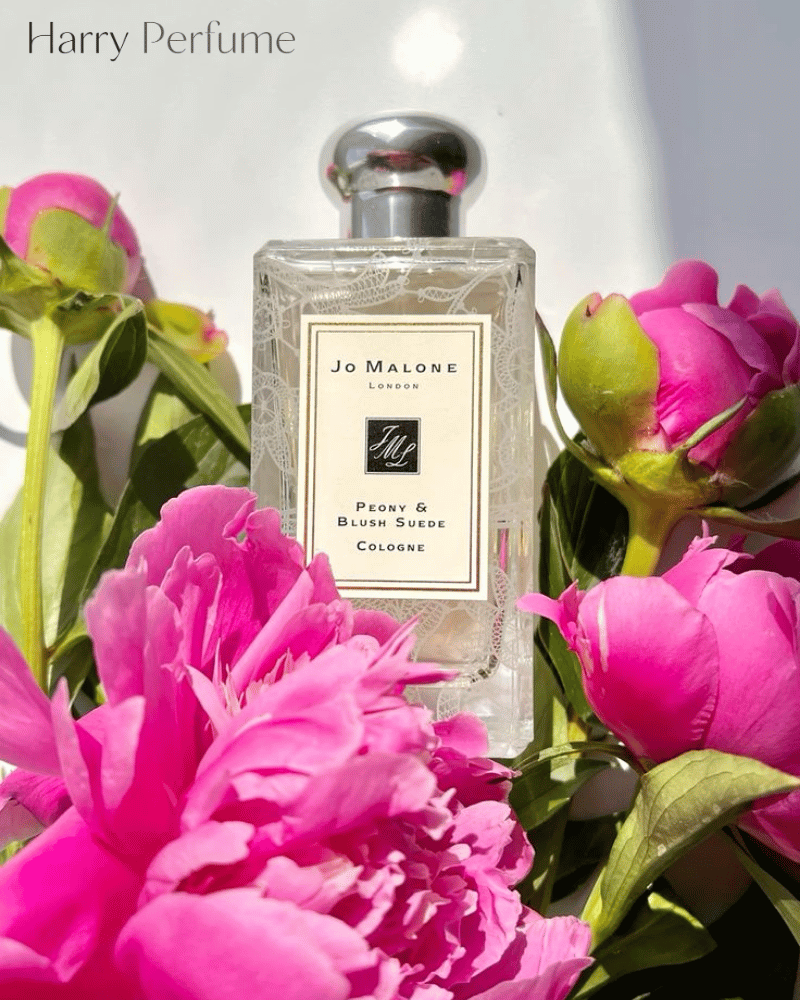Jo Malone Peony & Blush Suede hòa quyện hoa mềm mại và da lộn, thanh lịch, tinh tế, dễ dùng hằng ngày.