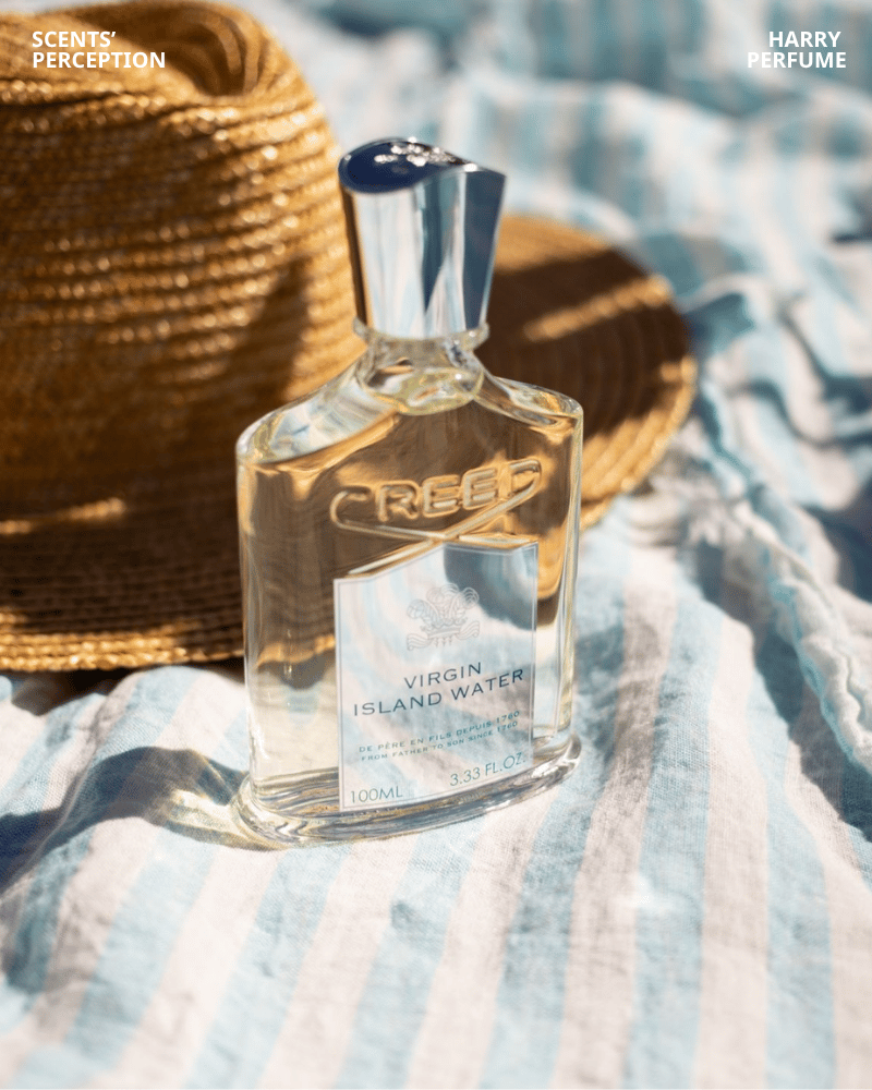 Creed Virgin Island Water mang hương biển nhiệt đới sang trọng, vui vẻ, thư giãn