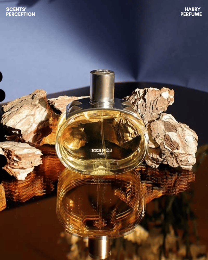Barénia kết hợp hoa, gỗ sồi và patchouli, tạo chất chypre trưởng thành, thanh lịch, cá tính và hiện đại.