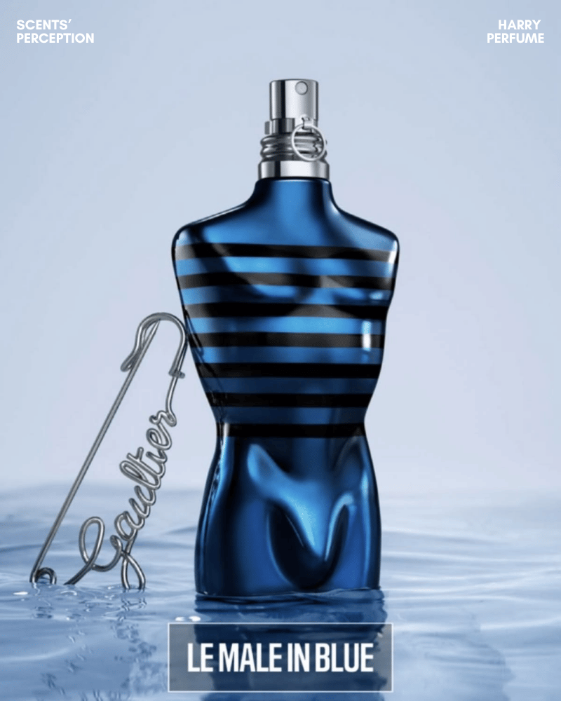 JPG Le Male In Blue có độ lưu hương khá, mở đầu rõ nét rồi dịu dần thành lớp hương sạch, ấm.