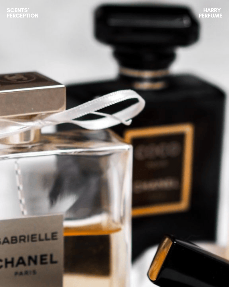 Nước hoa làm quà Tết không chỉ là món quà vật chất, mà còn là cách gửi gắm cảm xúc và sự thấu hiểu thông qua mùi hương phù hợp với người nhận.