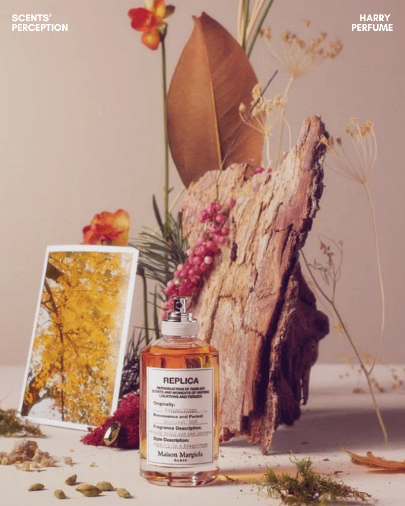 Autumn Vibes tái hiện rừng mùa thu mát lạnh qua gia vị, đất ẩm, gỗ, rêu và nhựa linh sam.