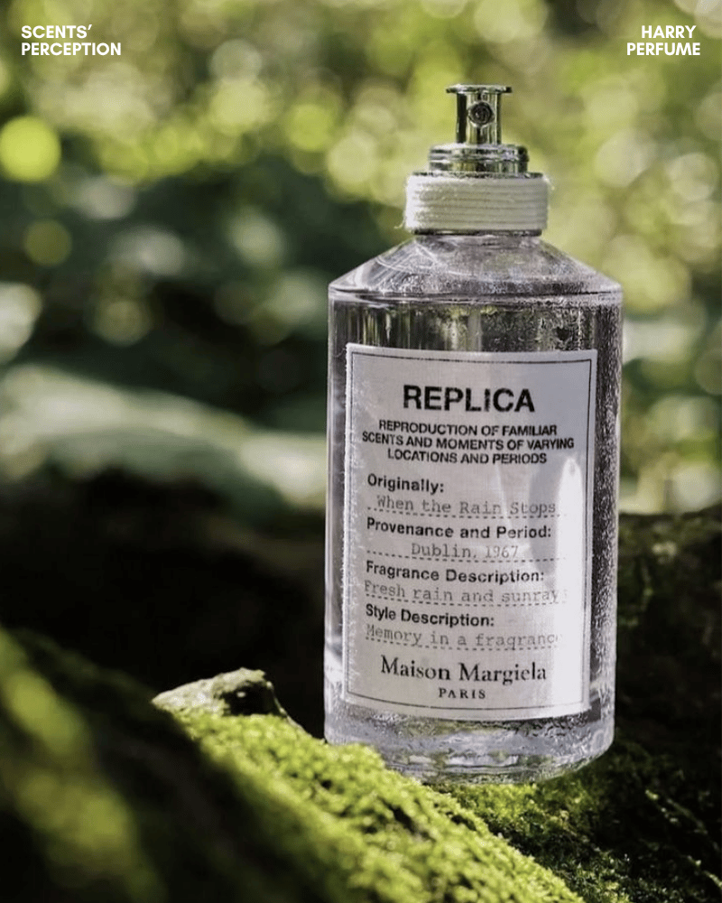 Bergamot tươi sáng hòa tiêu hồng cay nhẹ, lá xanh và đất ẩm, tạo mở đầu thoáng, đầy sống động.