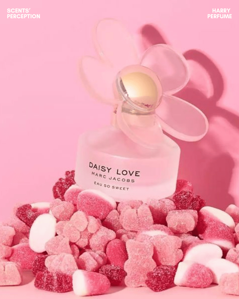 Mâm xôi trắng, bergamot và cloudberry tạo hương mở đầu mọng ngọt, tươi sáng, mềm mượt và đầy tinh nghịch.