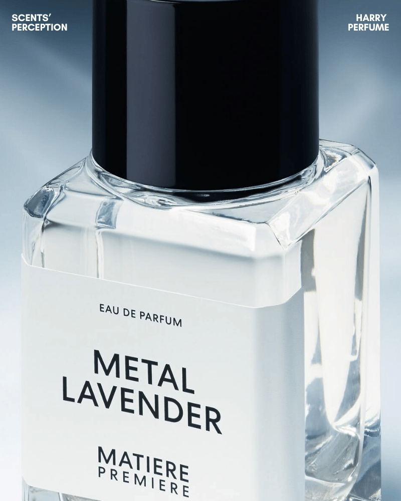 Metal Lavender đặt oải hương tự nhiên giữa bê tông và kim loại, tạo mùi sạch, sắc lạnh, hiện đại.