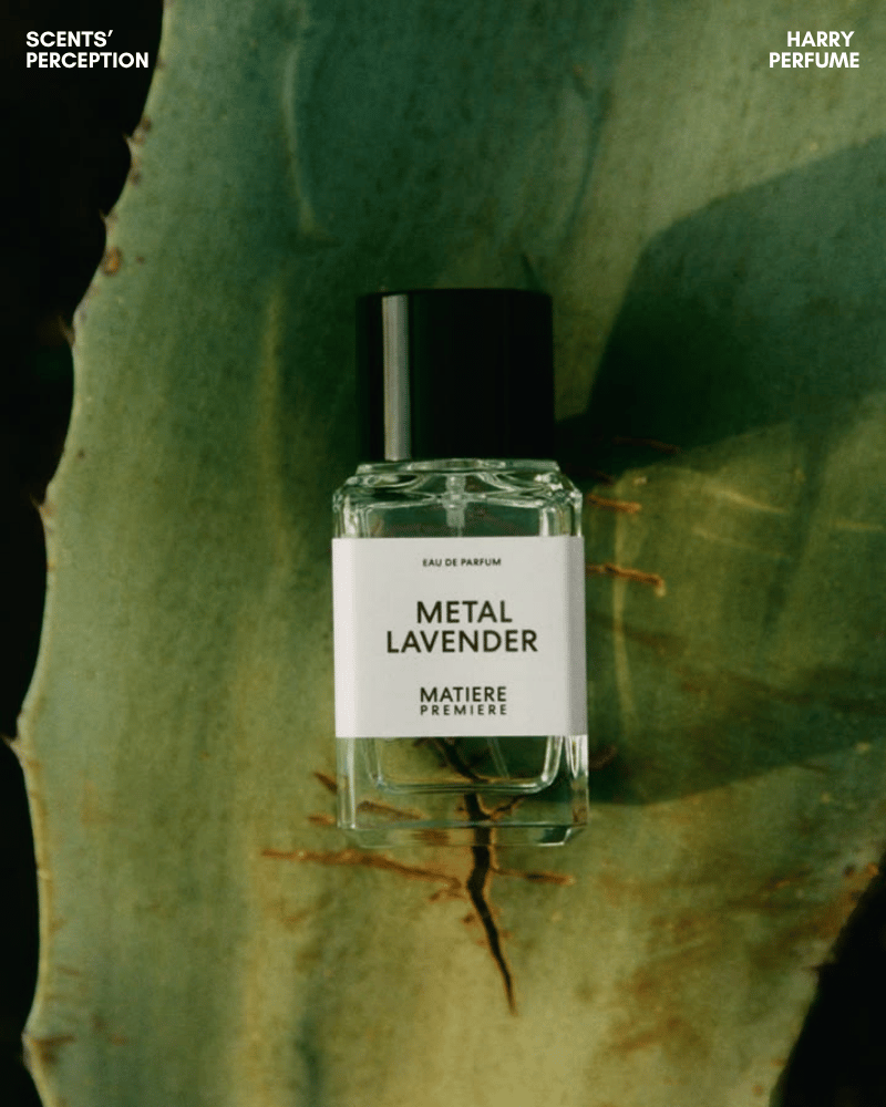 Metal Lavender mở đầu bằng lavandin sáng lạnh, thảo mộc và metallic, gợi cảm giác sạch, tối giản, hiện đại.