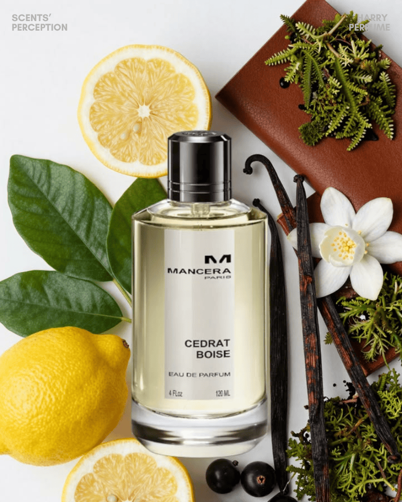 Mancera Cedrat Boise EDP mang hương citrus tươi, gỗ ấm sâu, sang trọng, nam tính, khác biệt, phù hợp mùa hè
