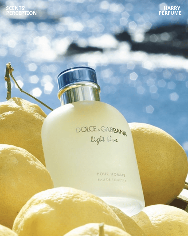 Dolce & Gabbana Light Blue Pour Homme với hương cam bergamot, quýt và bưởi mang lại cảm giác tươi mát, năng động