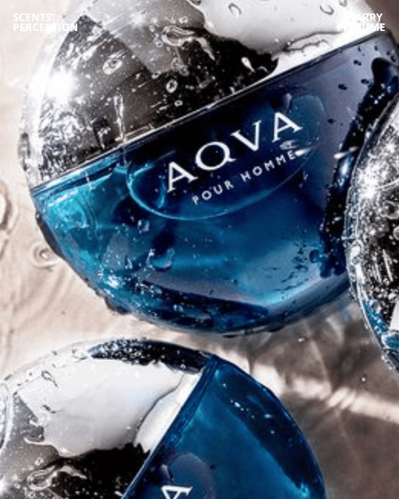 Bvlgari Aqva Pour Homme với hương cam, bưởi, rong biển mang lại cảm giác tươi mát, thư giãn, lý tưởng cho mùa hè