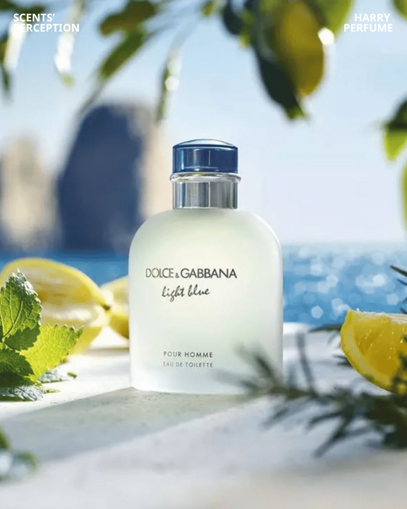 Dolce & Gabbana Light Blue Pour Homme là nước hoa tươi mát, kết hợp cam chanh, hoa nhài và gỗ tuyết tùng quyến rũ