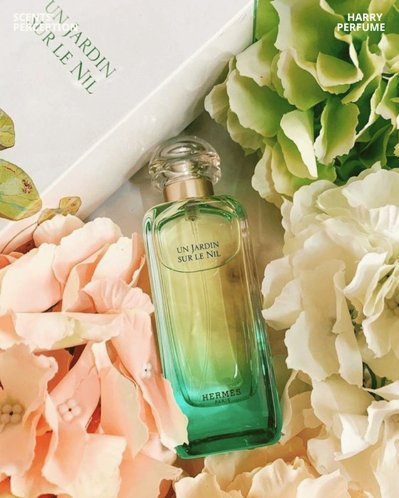 Hermès Un Jardin Sur Le Nil là nước hoa tự nhiên, kết hợp xoài xanh, bưởi, trà xanh, hoa sen và gỗ, tươi mới và quyến rũ