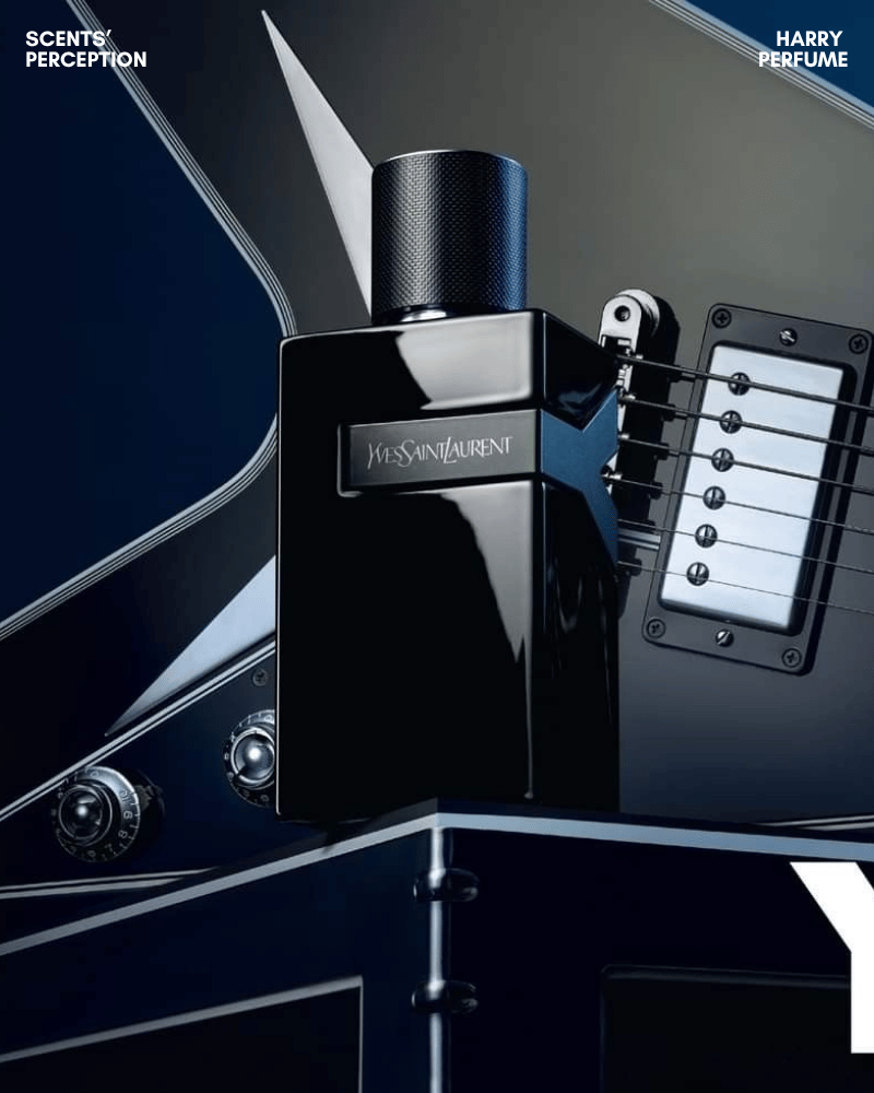 Y Le Parfum mở đầu tươi sáng với bergamot, gừng cay mát, sạch, dễ chịu trước sắc xanh thông nhẹ.