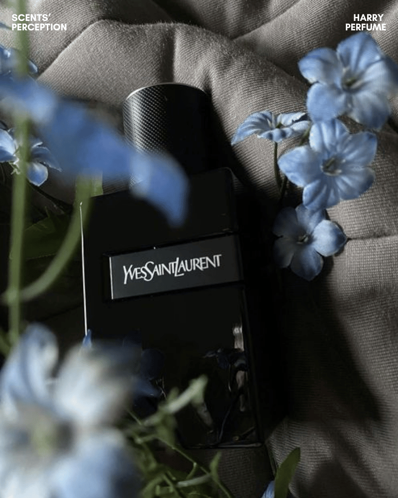 Y Le Parfum có hiệu năng tốt nhưng thay đổi theo cơ địa, môi trường và cách xịt trên da.