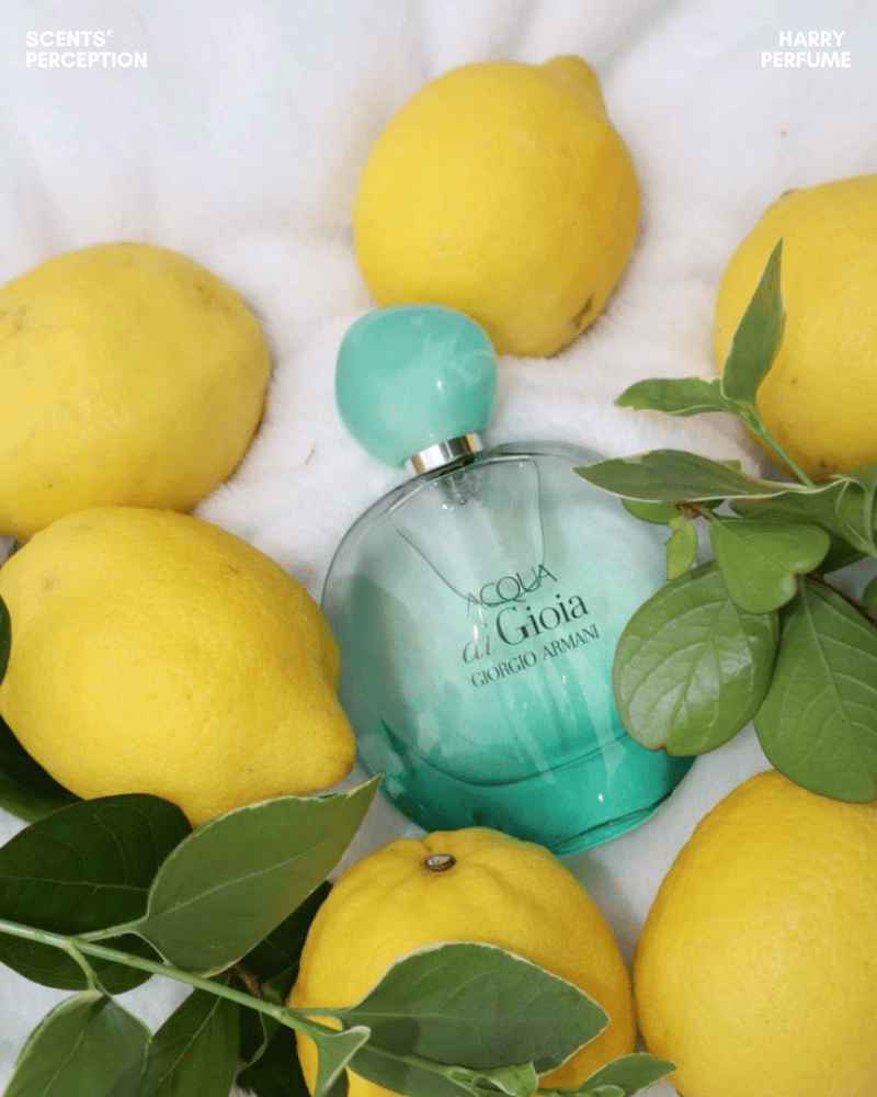 Acqua di Gioia EDP lưu hương khá, tỏa vừa phải, sạch mát, dễ chịu, phù hợp dùng hằng ngày nhẹ.