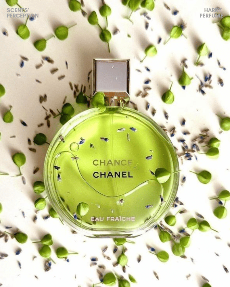Lớp nền gỗ và xạ hương giúp Chanel Chance Eau Fraîche EDP trở nên ấm áp, tinh tế, rất thích hợp cho môi trường công sở.