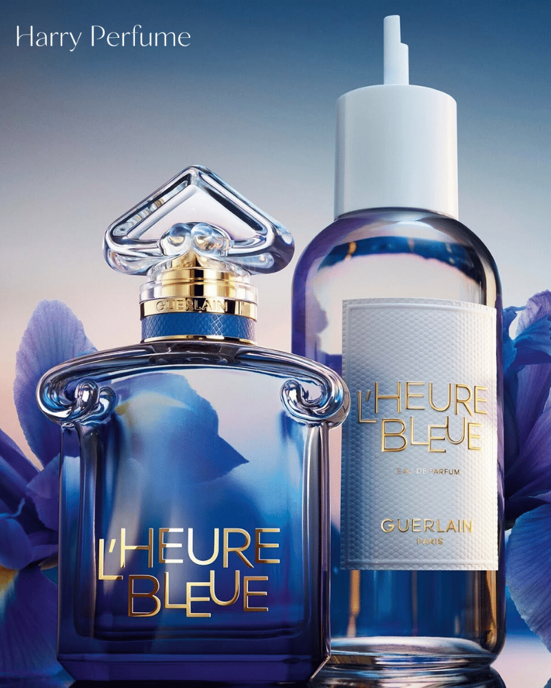 L’Heure Bleue mở đầu với anise lạnh, cam thảo thảo mộc, điểm bergamot sáng trước khi chuyển sang hương phấn.
