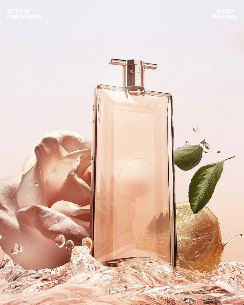 Idôle mở đầu tươi sáng với lê mọng, bergamot thanh mát và tiêu hồng cay nhẹ, trẻ trung, sạch sẽ.