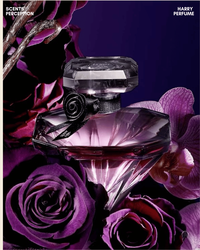 La Nuit Trésor mở đầu ngọt mọng với raspberry, vải thiều, cùng sắc thái trái cây nữ tính và tươi.