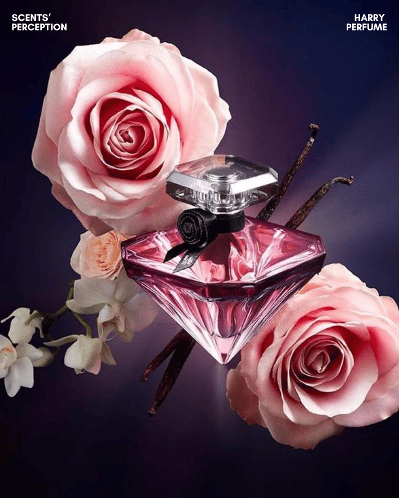 La Nuit Trésor EDP lưu hương khá tốt, với vanilla, praline và patchouli giúp duy trì hương thơm bền lâu trên da.