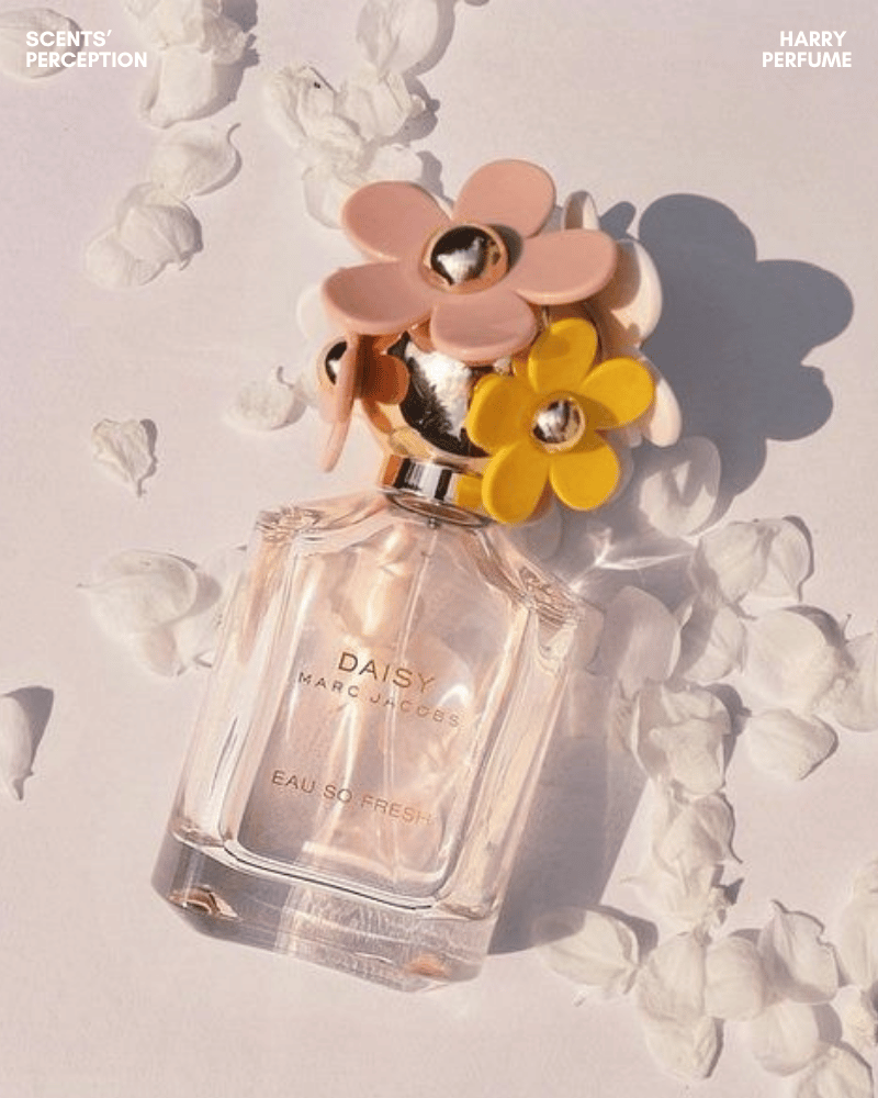 Daisy Eau So Fresh lưu hương khoảng 3–5 giờ, tỏa gần trong giờ đầu và phù hợp không gian kín.