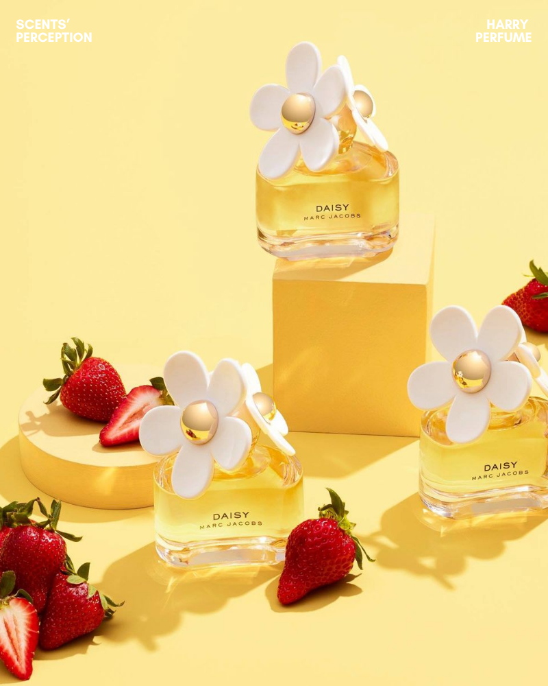 Daisy khép lại với xạ hương, gỗ trắng và vanilla nhẹ, tạo cảm giác sạch, ấm, nữ tính, kín đáo.