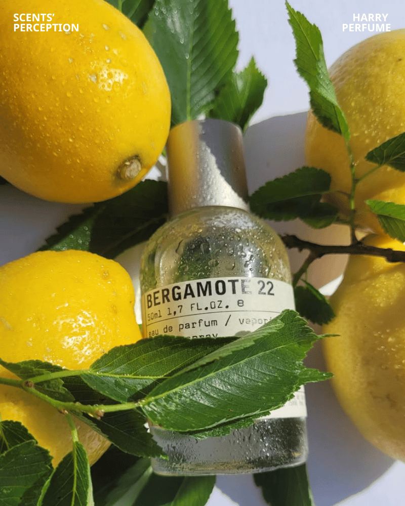 Le Labo Bergamote 22 mang hương bergamot, gỗ và xạ sạch, hiện đại, chỉn chu, cuốn hút mùa hè.