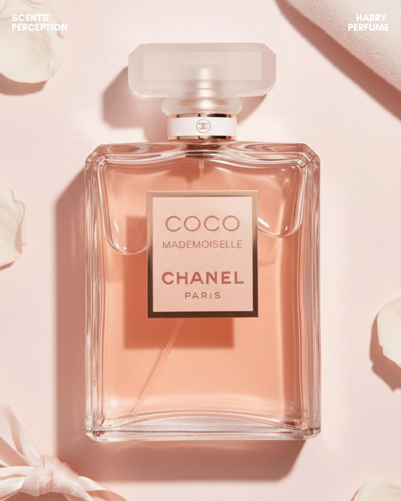 Coco Mademoiselle mang hương citrus tươi sáng, hoa hồng, jasmine, nền gỗ ấm, phù hợp mẹ hiện đại, tự tin.