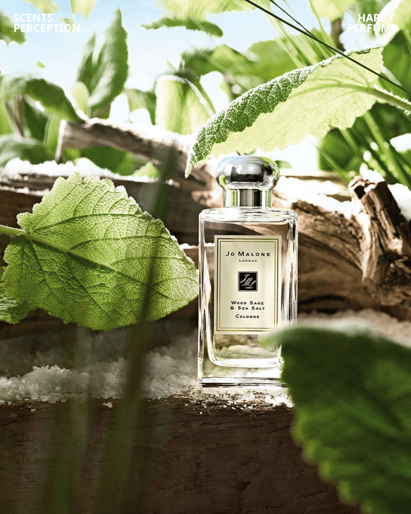 Jo Malone Wood Sage & Sea Salt mang hương biển mặn khoáng, sạch tự nhiên, tối giản và dễ chịu cho mùa hè
