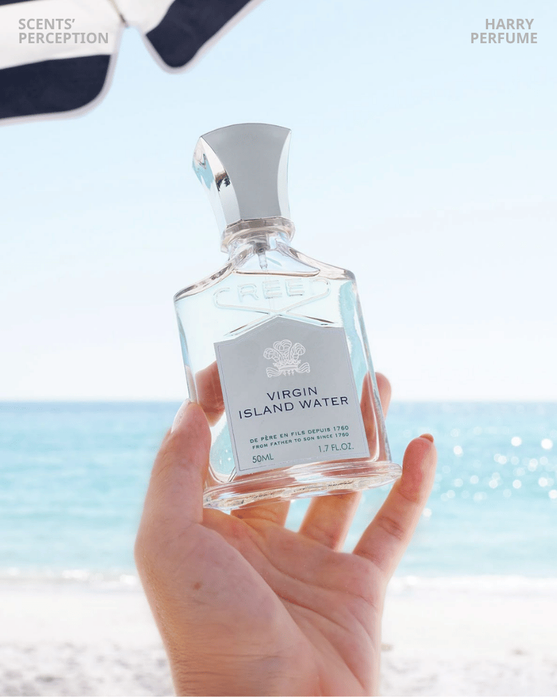 Creed Virgin Island Water mang hương chanh, dừa và cam bergamot nhiệt đới, tươi vui, phóng khoáng, lý tưởng cho du lịch hè.