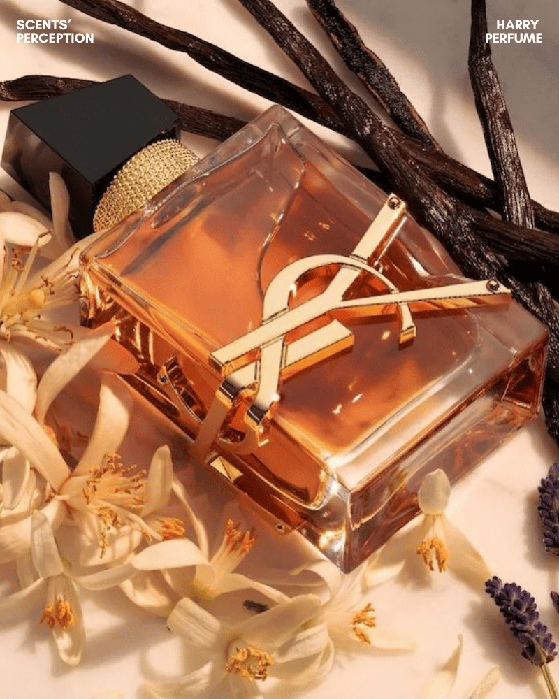 YSL Libre Le Parfum kết hợp lavender, saffron, vanilla, mang hương ấm sâu, sang trọng, trưởng thành cho tiệc tối.